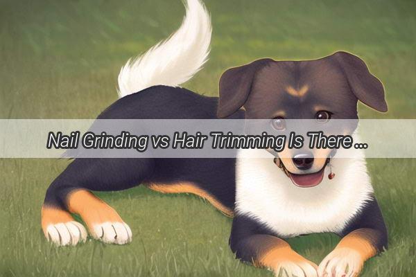 Nail Grinding vs Hair Trimming Is There a Difference That Matters for Your Furry Friend